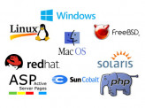 java/스프링프레익워크/전자정부프레임워크/PHP/ASP 프그램 개발 및 유지보수